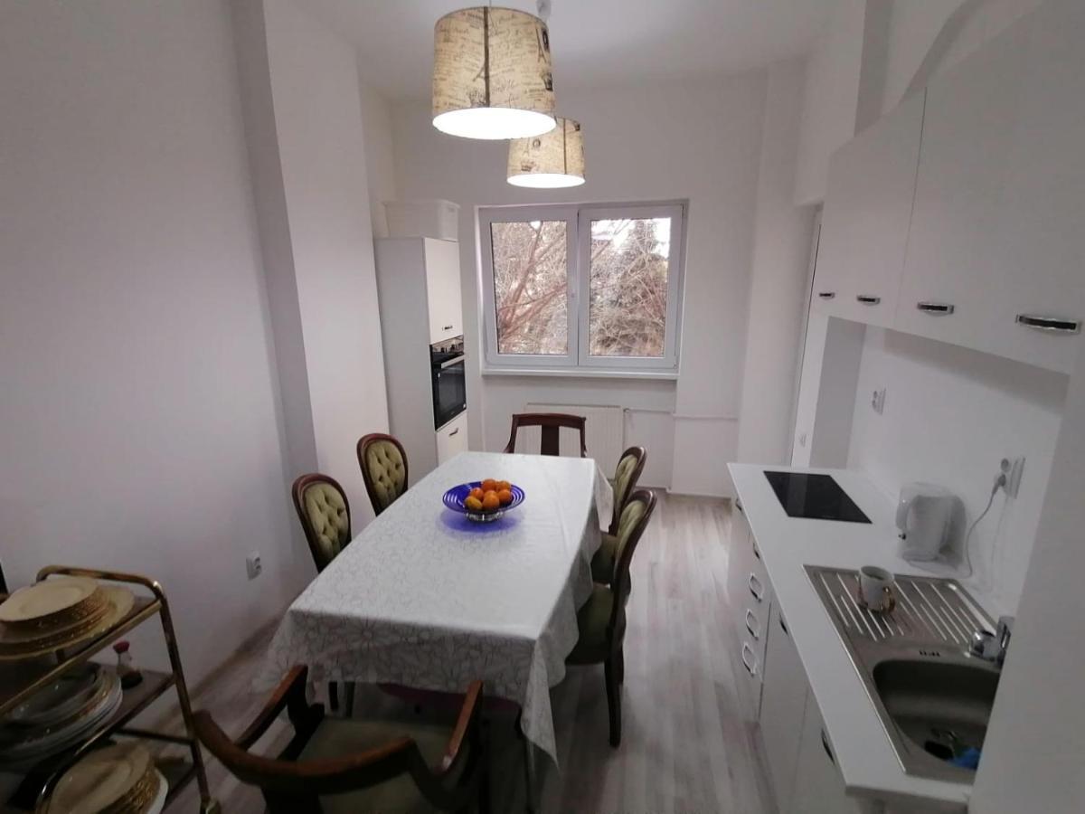 Central Appartment - Heart Of Bucharest - Sector 1 - New Renovated - Open Space Exterior foto